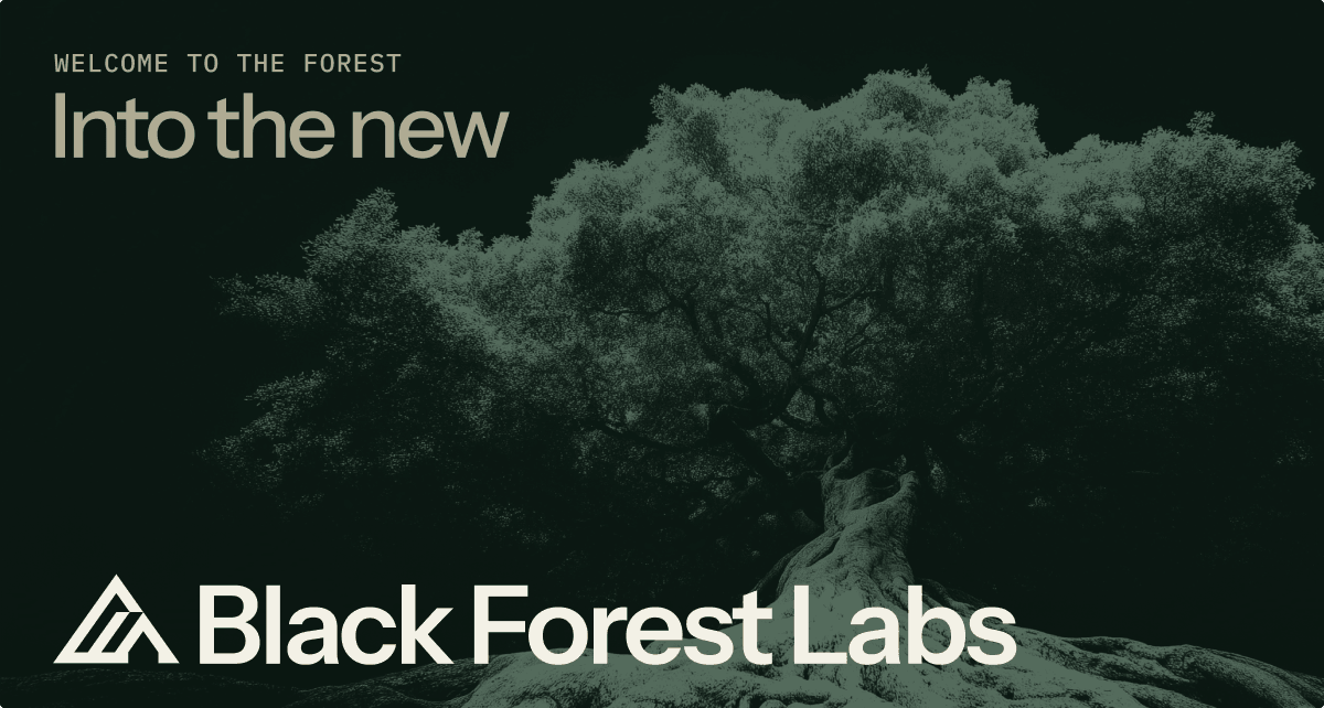 Black Forest Labs cover image